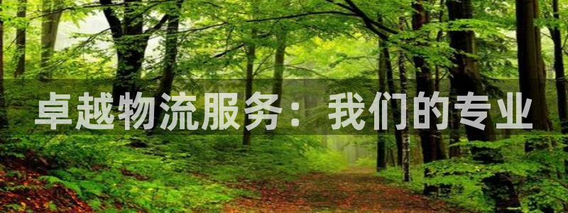 ,优游国际充值不处理：卓越物流服务：我们的专业