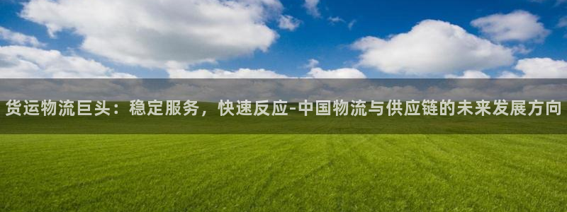 ,优游国际网站平台是多少：货运物流巨