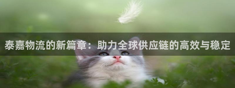 ,优游国际链接来一个：泰嘉物流的新篇