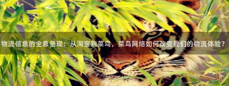 ,优游国际龙虎：物流信息的全息呈现：