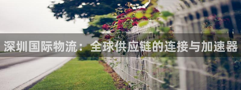 ,优游国际官方