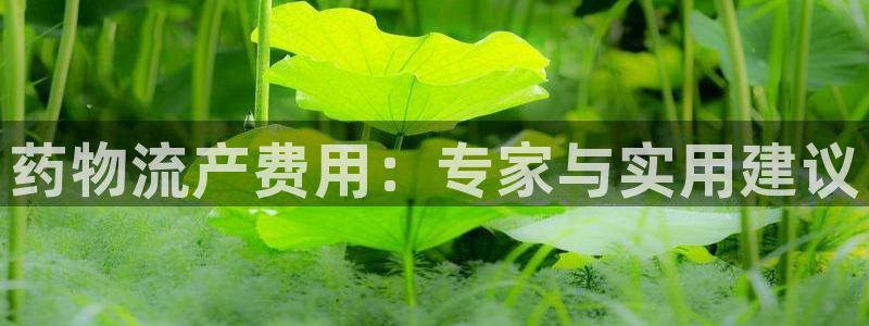 ,优游国际怎么注册账号和密码：药物流