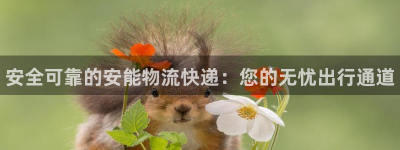 ,优游国际能不能退：安全可靠的安能物