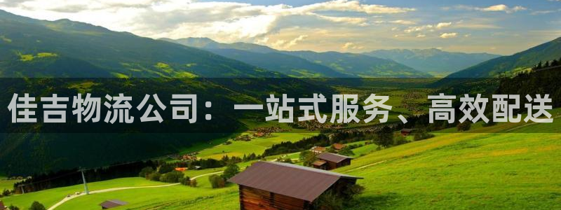 ,优游国际忘记账号：佳吉物流公司：一
