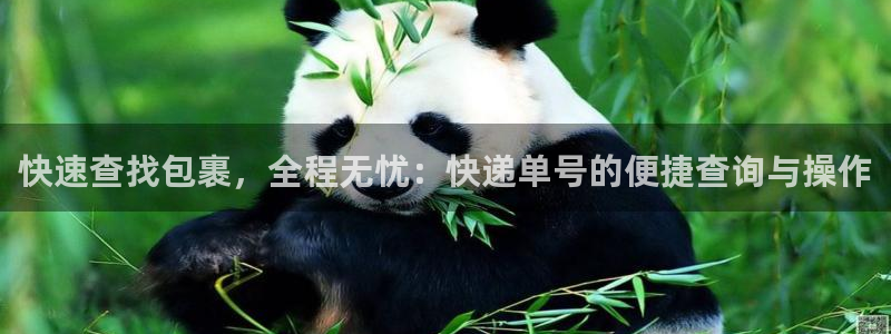 ,优游国际官方官网版：快速查找包裹，