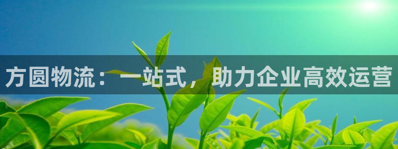 优游国际官网下载APP：方圆物流：一