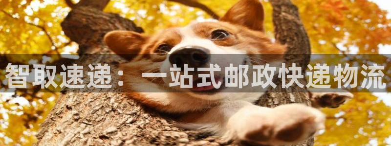 ,优游国际pc预测：智取速递：一站式