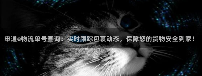 ,优游国际怎么下载：申通e物流单号查