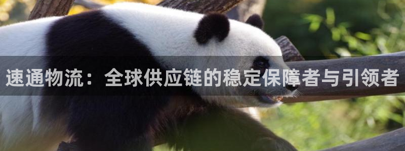 ,优游国际PG电子游戏：速通物流：全