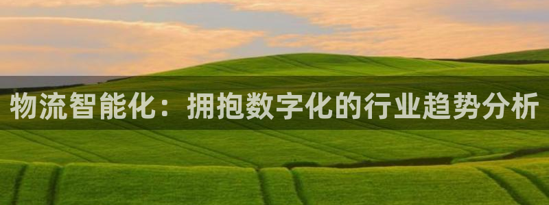 麻将1,优游国际：物流智能化：拥抱数
