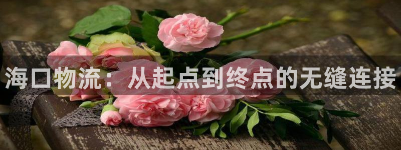 ,优游国际在线预测：海口物流：从起点