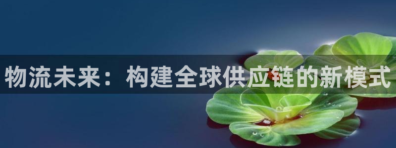 优游国际官网入口：物流未来：构建全球
