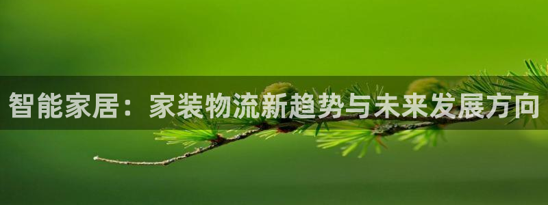 ,优游国际退款教程:智能家居:家装物