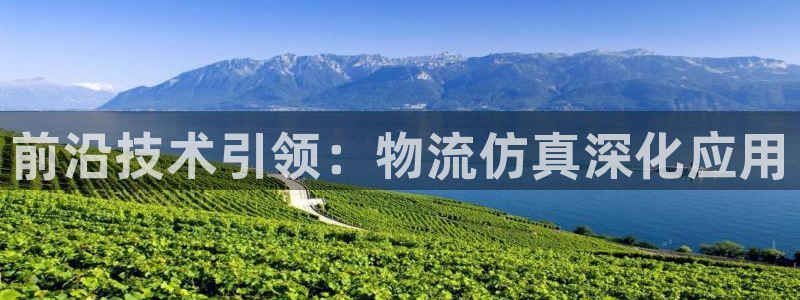 ,优游国际返水怎么算的:前沿技术引领