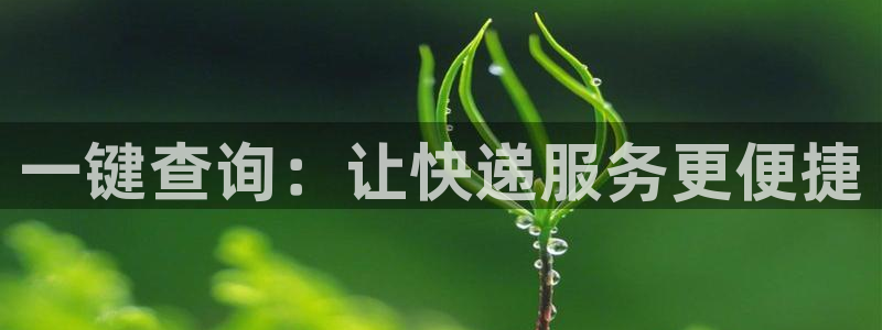 ,优游国际免费:一键查询:让快递服务