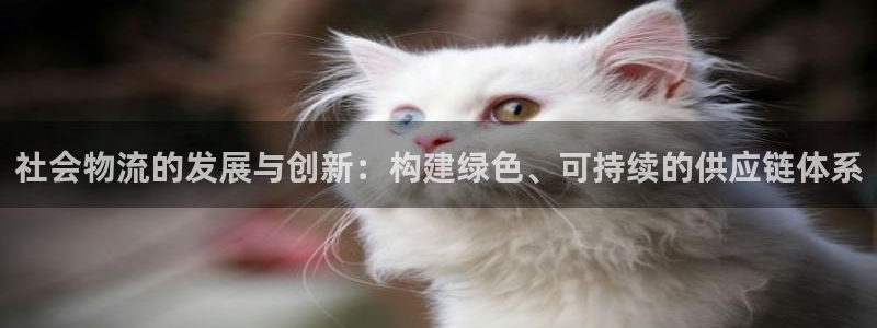 ,优游国际注册链接入口:社会物流的发
