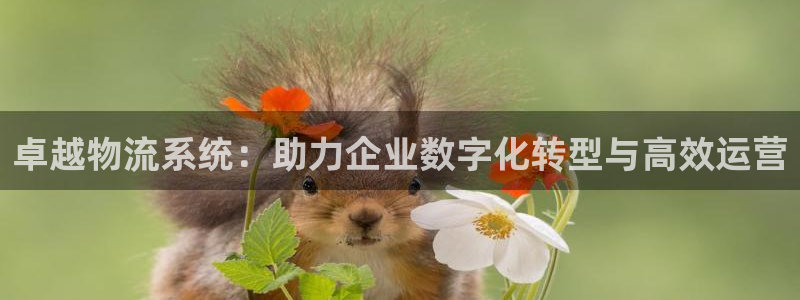 ,优游国际合法吗:卓越物流系统:助力