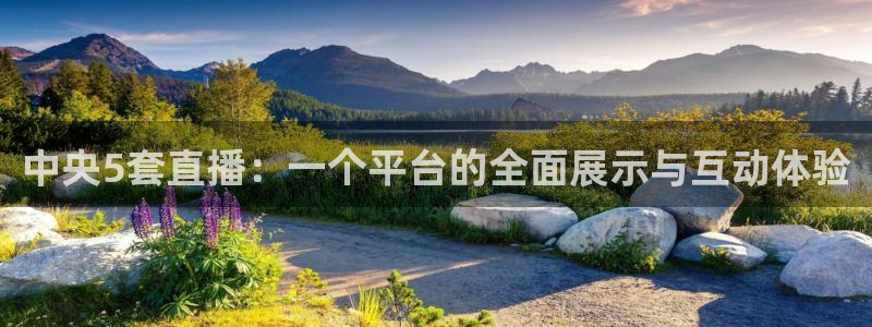 咪咕视频app下载：中央5套直播：一个平台的全面展示与互动体验