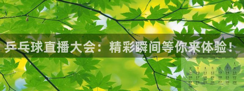 咪咕视频体育频道直播免费观看：乒乓球直播大会：精彩瞬间等你来体验！